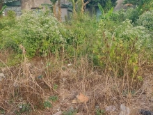 Nền Khu Hành Chánh Bình Tân , Vĩnh Long.