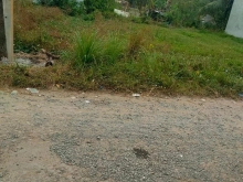 Cần tiền xài tết chủ cần bán gấp cặp nền đẹp lý tưởng