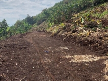 Anh chị em có như cầu làm vườn nghĩ dưỡng