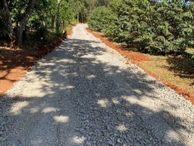 Bán vườn sầu riêng bao đẹp , có 300m thổ cư.