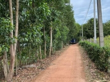 Đất view hồ trị an mặt tiền bê tông