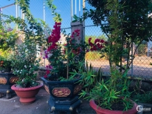 Bán 7.5 xào đường betong 2 xe tải tránh nhau