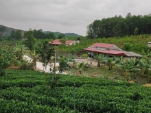 Mảnh đất đẹp như tranh vẽ 1,1ha Khe Mo, Đồng hỷ