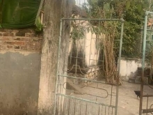 Em nhanh lô Gia Phú Gia Gia viễn