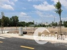 Chủ kẹt tiền gửi bán hơn 2 công đất vườn hiện tại đang trồng mai XÃ BÌNH LỢI