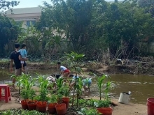 Bán căn nhà cấp 4 khu HOÀN HẢO