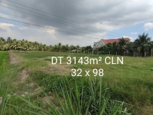 Bán 3,3 công đất xã Hòa Ninh, huyện Long Hồ