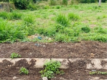 Em cần bán nền đất phường Xuân tân. Tp long khánh.