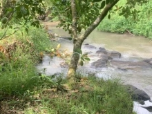 Diện tích 1 mẫu đất view Suối,  ấp cây da, xã Bình Lộc.