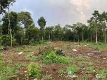 Dành cho anh chị cần 500m2 gần trung tâm thành phố long khánh