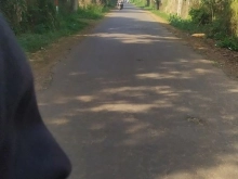 Đất Tp.Long Khánh  Diện Tích 550m2 Điện đường đầy đủ