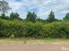 Bán 1 sào mặt tiền đường nhựa Bảo Quang, Long Khánh.