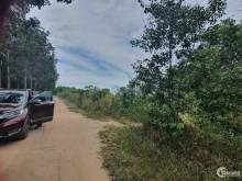 Chính chủ gửi bán 9,500 m2 nằm sát sân bay Long Thành.