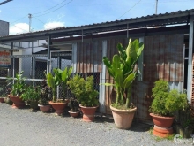 Trước đường lô nhưa. Xe ôtô tới đất