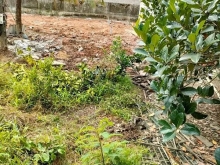 Không chỉ để ở mà còn để đầu tư mua bán tại nhà 