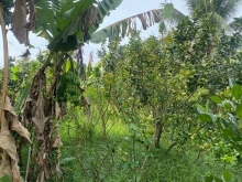 BÁN NHANH THU HỒI VỐN CĂN NHÀ CẤP 4( THỔ 100%)