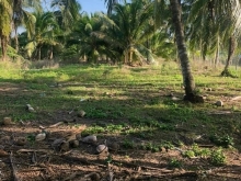 Bán nền đất thuộc xã Bình Phước, Mang Thít. Khu vực số 6.