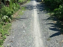 Cách cầu Sông Lung 600m, thuộc xã Tân Long, Mang Thít. Có 2 nền đất cần bán.