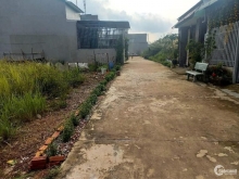 Chủ cần bán gấp miếng đất 1/ đường cảng ấp 5 long thọ