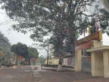 Cần bán lô đất cạnh trường tiểu học Nguyễn Trãi