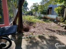 Bán nền ấp kim cấu- xã Vĩnh Trạch- TP.Bạc Liêu