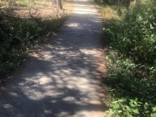 CẦN BÁN GẤP NỀN đường giồng me phường 2