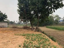 Cần bán Nhanh lô đất 312m gần chợ Cam Giá.