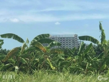 Đất nền P9 mùa covi nên bà cô cũng cmuốn bán thu hồi vốn, lỗ tiền ngân hàng