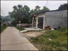 Nhà cấp 4 chưa sơn, về sơn tí sáng lung linh luôn