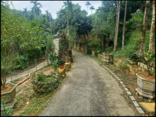 Cần bán trang trại cao ráo tặng nhà cấp 4