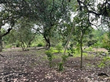 Chủ gửi bán - Diện tích 1048m2 đất chồng cây giá chỉ 1ty150 bớt lộc