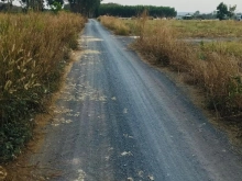 230tr có ngay 1 nền đất đẹp . Địa chỉ : Quảng Tiến - Trảng Bom