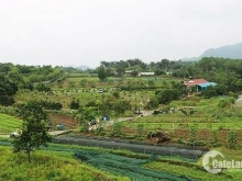 Chính chủ cần bán lô đất với diện tích 200m2 chỉ có giá 20tr/m2