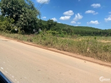 Cần bán gấp 15.400m2 (1 sổ) , mặt tiền đường nhựa Cộ xoài Tân An Vĩnh Cửu Đồng n