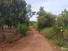 Xã Bình lợi, vĩnh cửu, đồng nai. Cần bán lô đất sổ chung ngang 5* 38