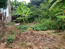 Nhà cần tiền nên bán gấp lô đất 5X25m, hướn Đông Nam,