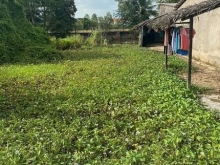 Giảm Giá 2 Nền Hưng Hội - Sổ Đỏ Đầy Đủ ,Ra Công chứng Ngay !