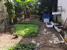 Nhà mới cất 3 năm, khúc trạm thu phí huyện Vĩnh Lợi