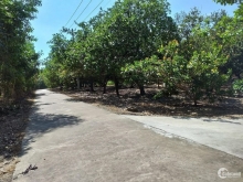 Chủ gởi lô suối Cao 5sào7 có 54mMT