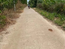 Bán nhà cấp 4 + đất 1000m2  Giá : 8xx ( thương lượng)