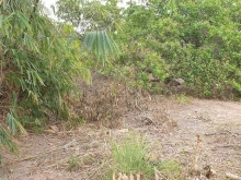 Dành cho khách thích hợp chăn nuôi. Làm vườn, nghĩ dưỡng...