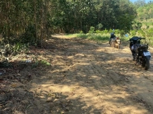 Cần bán lô đất xã Xuân Hiệp-Xuân Lộc-Đồng Nai.