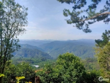 Chính chủ cần bán lô đất có diện tích 5*19,9 giá 1tỷ 4