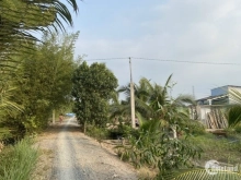 Hàng hiếm chủ gửi đất vườn MT kênh ấp 1 Bình Đức Bến Lức Long An
