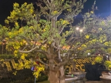 VỊ TRÍ : Nhà nằm ở cạnh đường Y wang 100 m. Đường ô tô tải ne nhau.