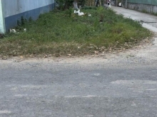 Bán đất 2 mặt tiền đường Trần Thị Thơm