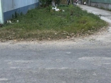 Bán đất 2 mặt tiền đường Trần Thị Thơm