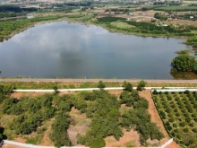 Giá quá sốc 1,8tr/m! Mảnh đất vàng Long Tân, Đất Đỏ, Bà Rịa Vũng Tàu, Dt 12.253m