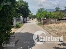 Cần bán gấp 1100m2 giá 300 triệu - sổ hồng trao tay tặng nhà cấp 4