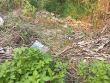 Bán đất bình phong tân mỹ chánh giá tốt